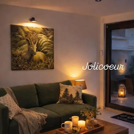 Appartement Le Jolicoeur *